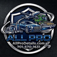 all pro mobile auto detail